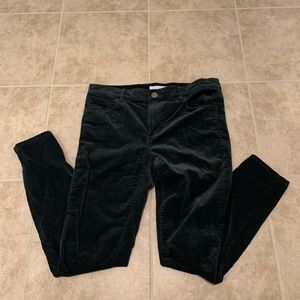 Loft corduroy slim cut pant dark green